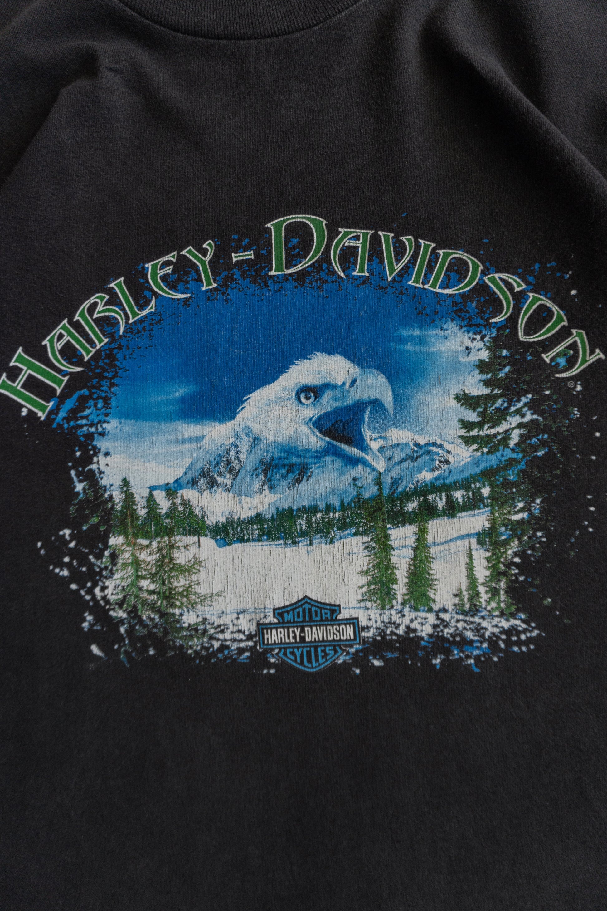 (L) VINTAGE HARLEY DAVIDSON GROVE’S TEE