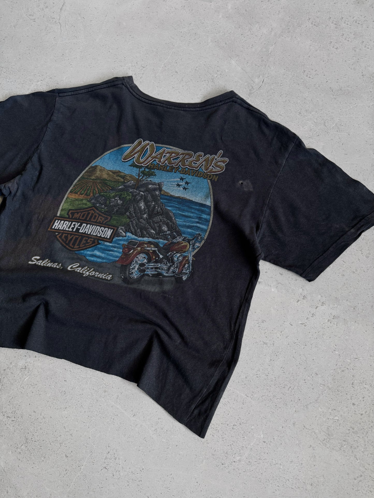 (BOXY L) VINTAGE HARLEY CALIFORNIA TEE