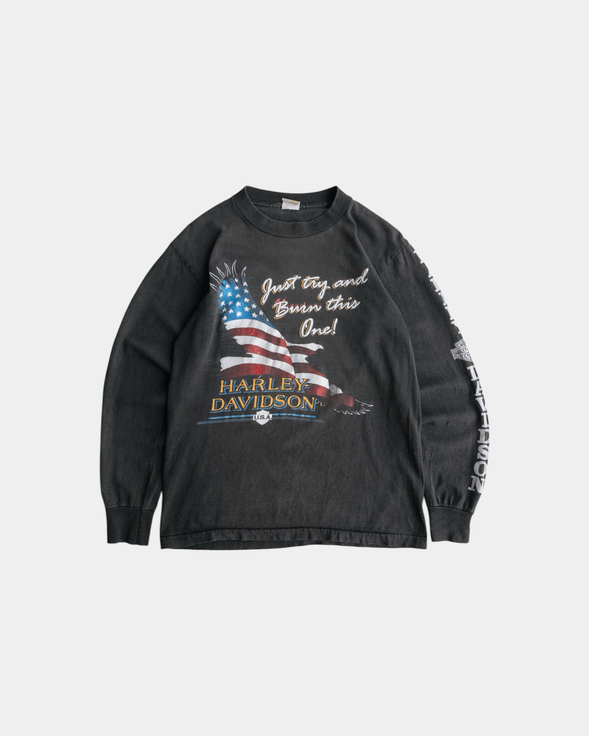 (S/M) 80’S VINTAGE HARLEY DAVIDSON EAGLE FADED LONG SLEEVE