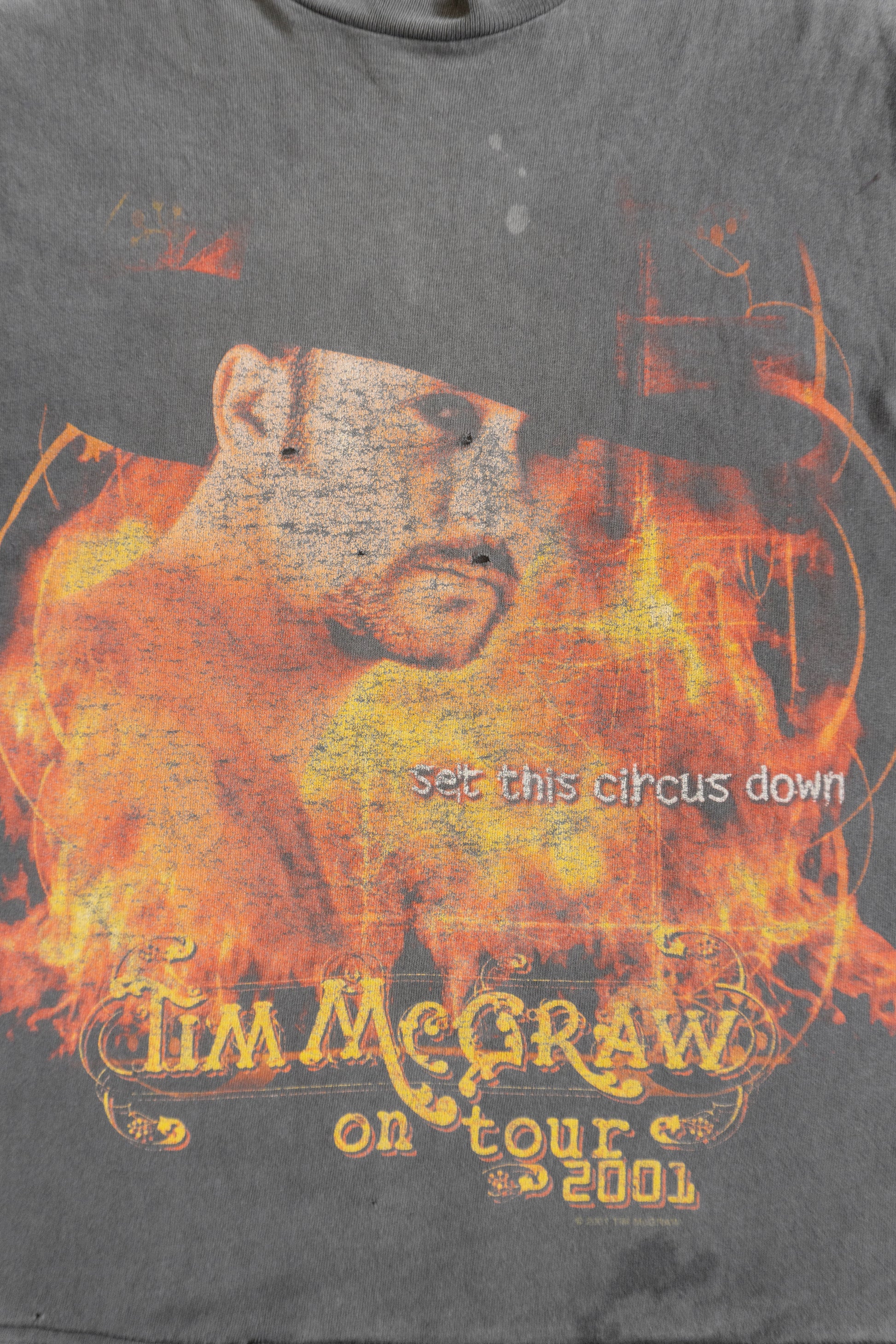 (M) VINTAGE TIM MCGRAW ON TOUR 2001 DISTRESSED/FADED TEE