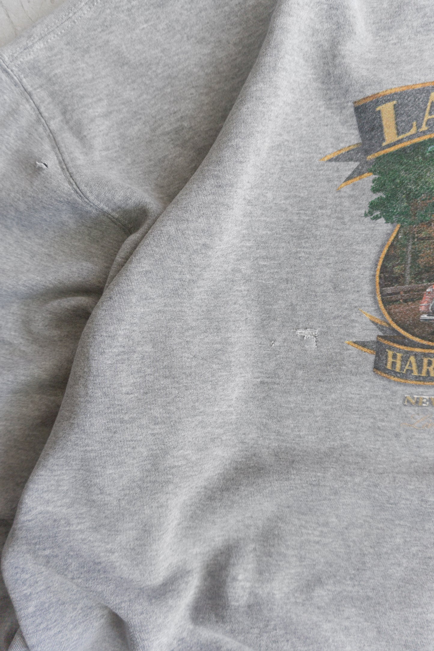 (XL) HARLEY DAVIDSON HOODIE