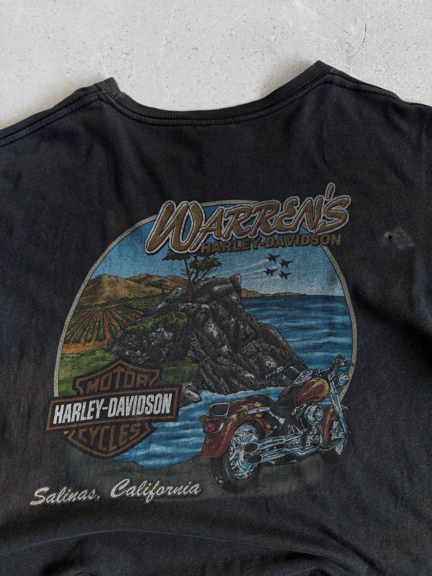 (BOXY L) VINTAGE HARLEY CALIFORNIA TEE