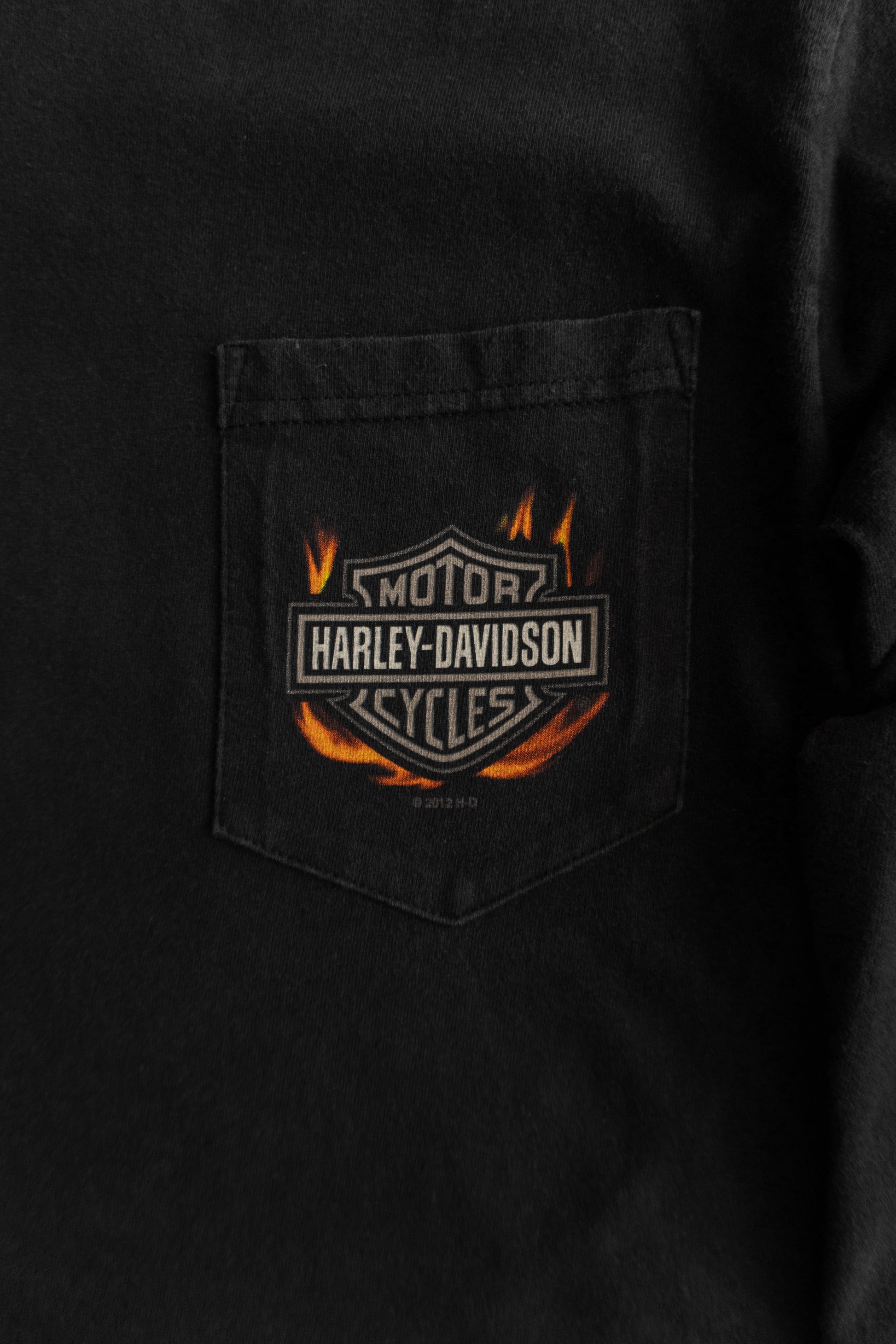 (S) HARLEY DAVIDSON FLAMES LONG SLEEVE