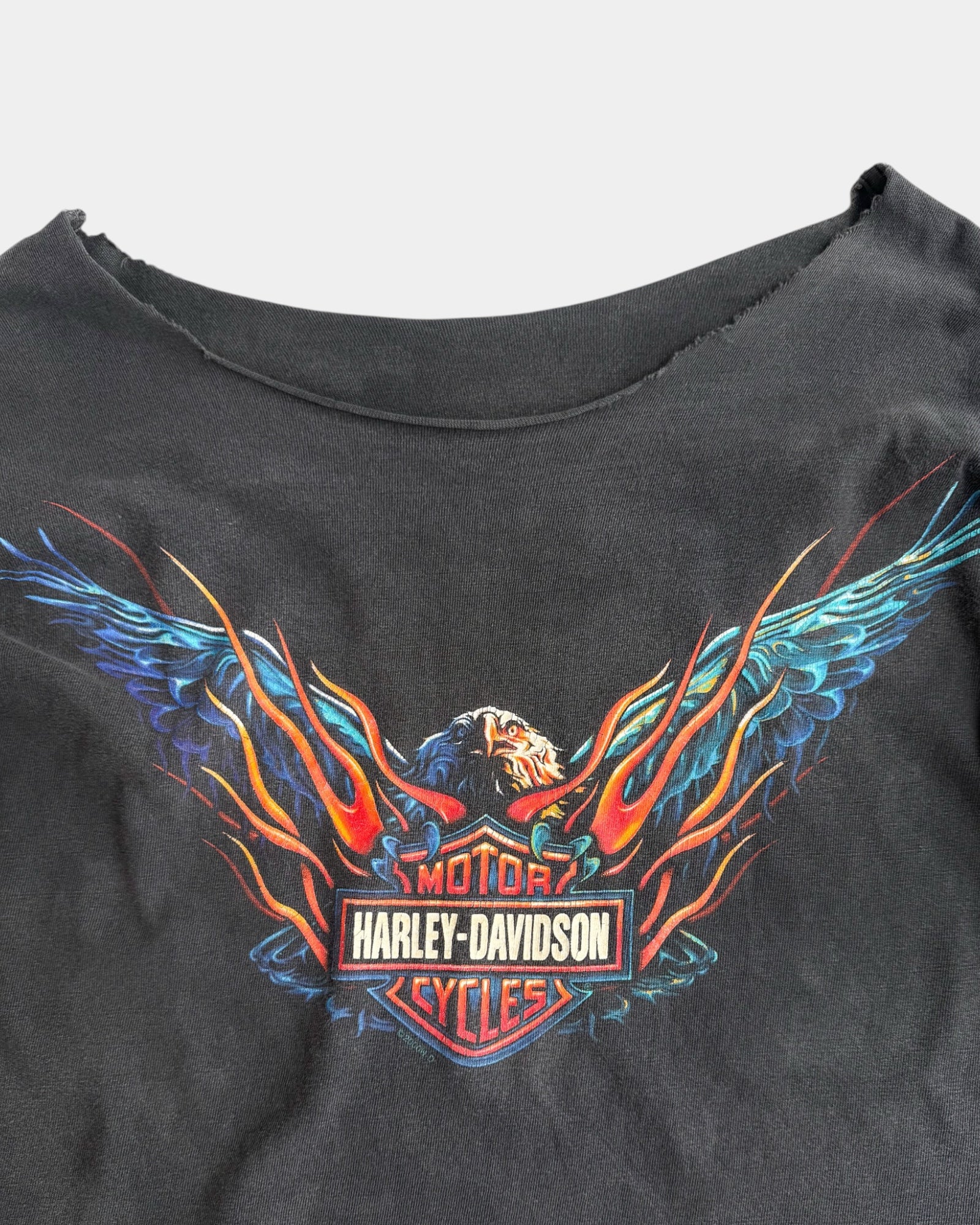(M) 00’S VINTAGE HARLEY DAVIDSON SUN FADED FLAMES LONG SLEEVE