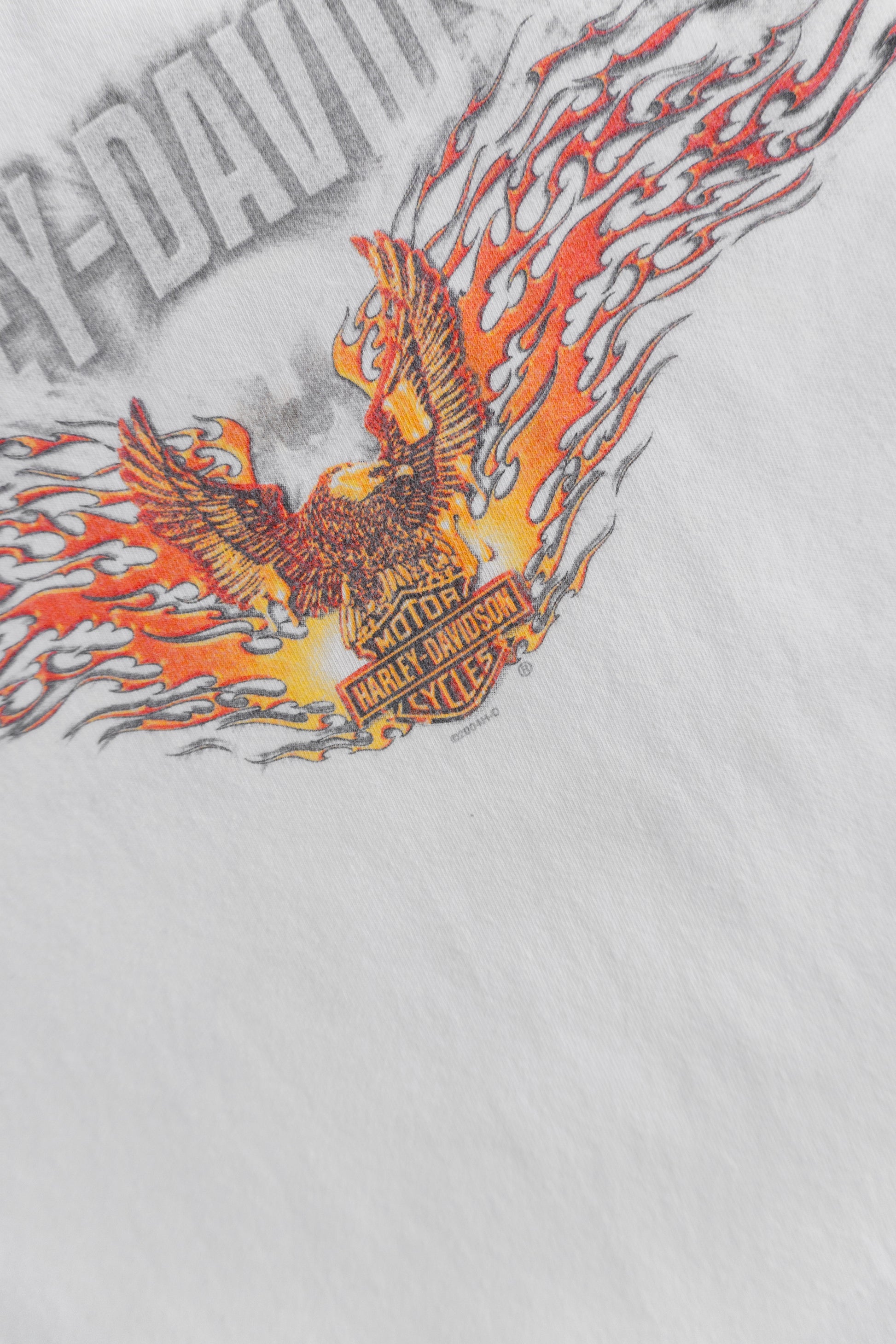 (M) 2000’S VINTAGE HARLEY DAVIDSON FLAMES LONG SLEEVE