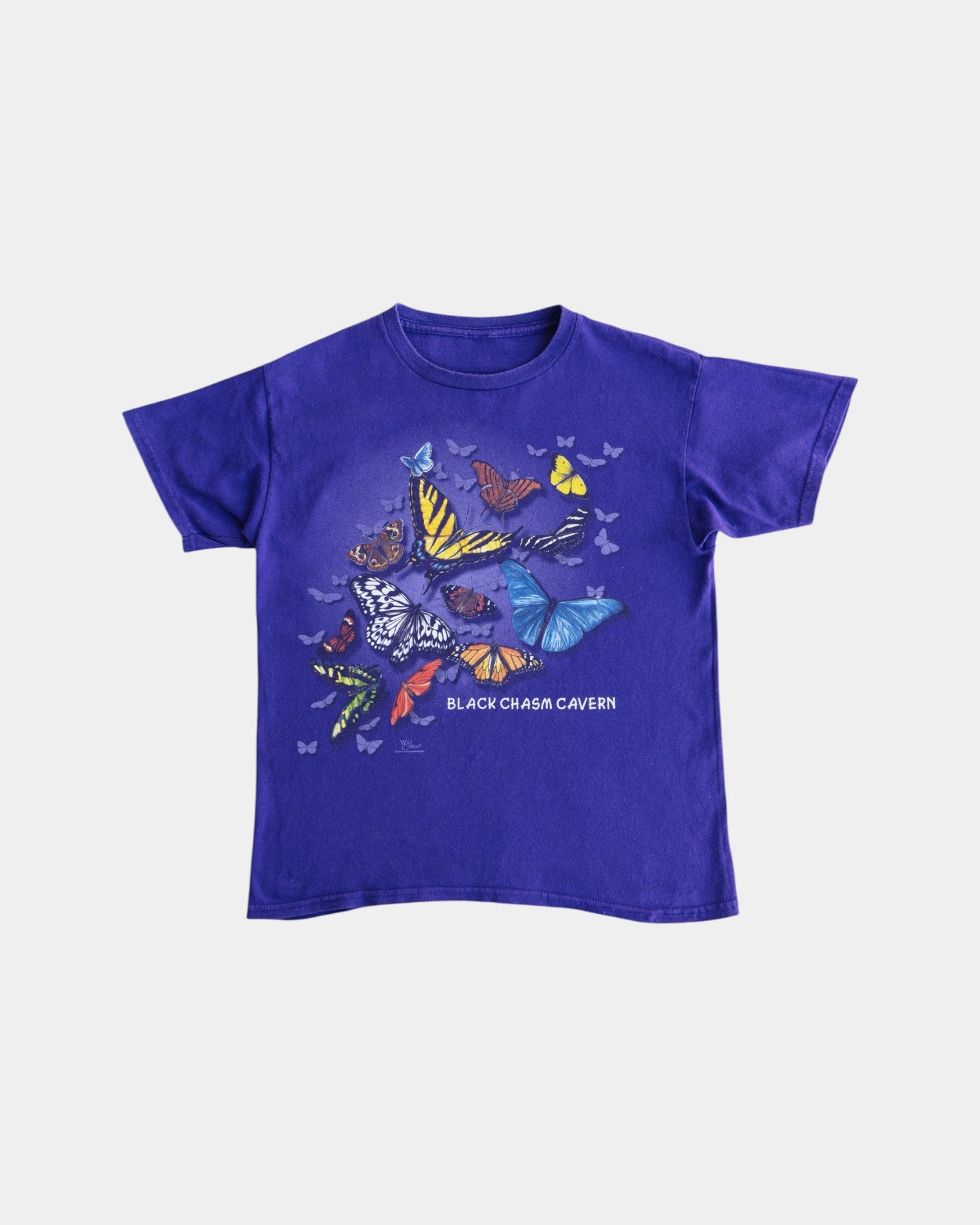 (S) BUTTERFLY NATURE ART TEE