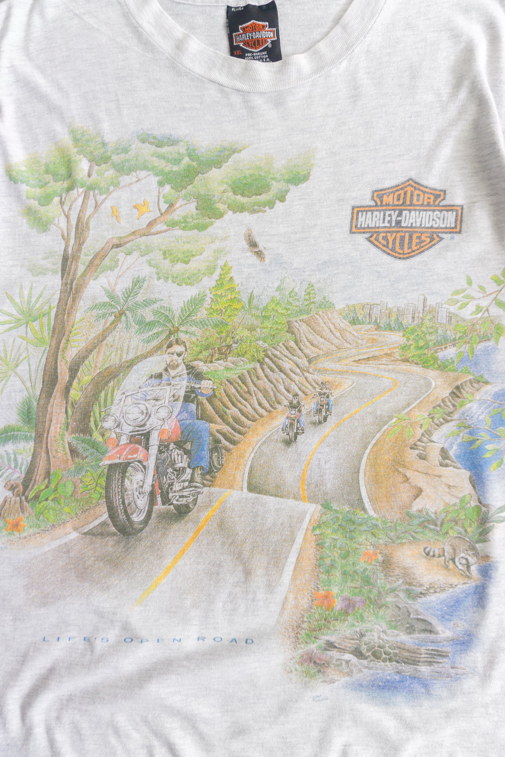 (BOXY L/XL) 1996 VINTAGE HARLEY DAVIDSON NATURE ART TEE
