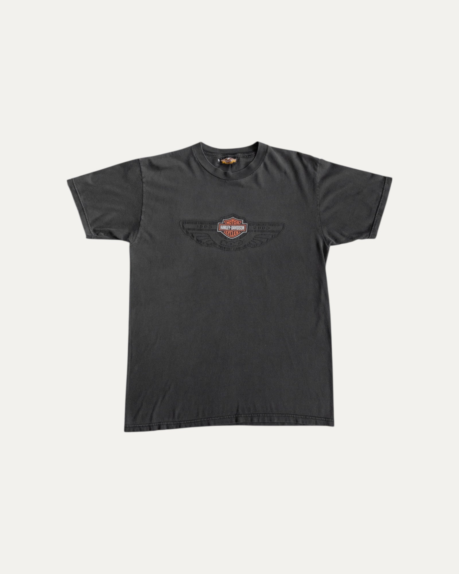 (L) VINTAGE HARLEY DAVIDSON FADED TEE