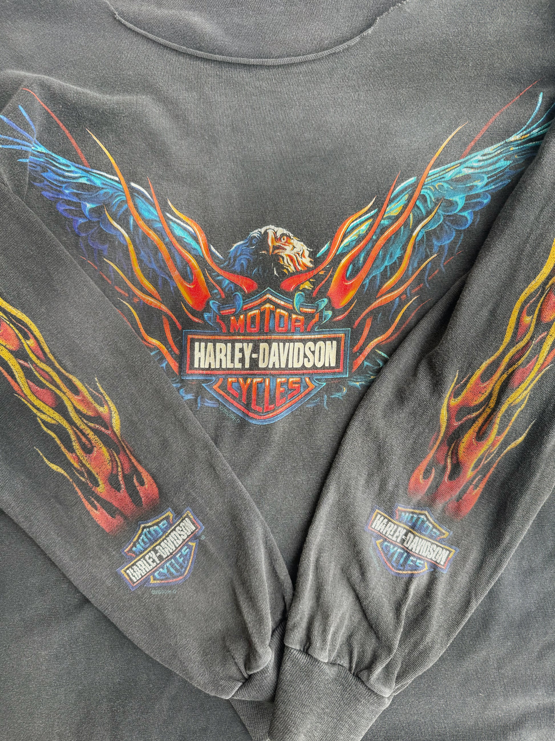 (M) 00’S VINTAGE HARLEY DAVIDSON SUN FADED FLAMES LONG SLEEVE