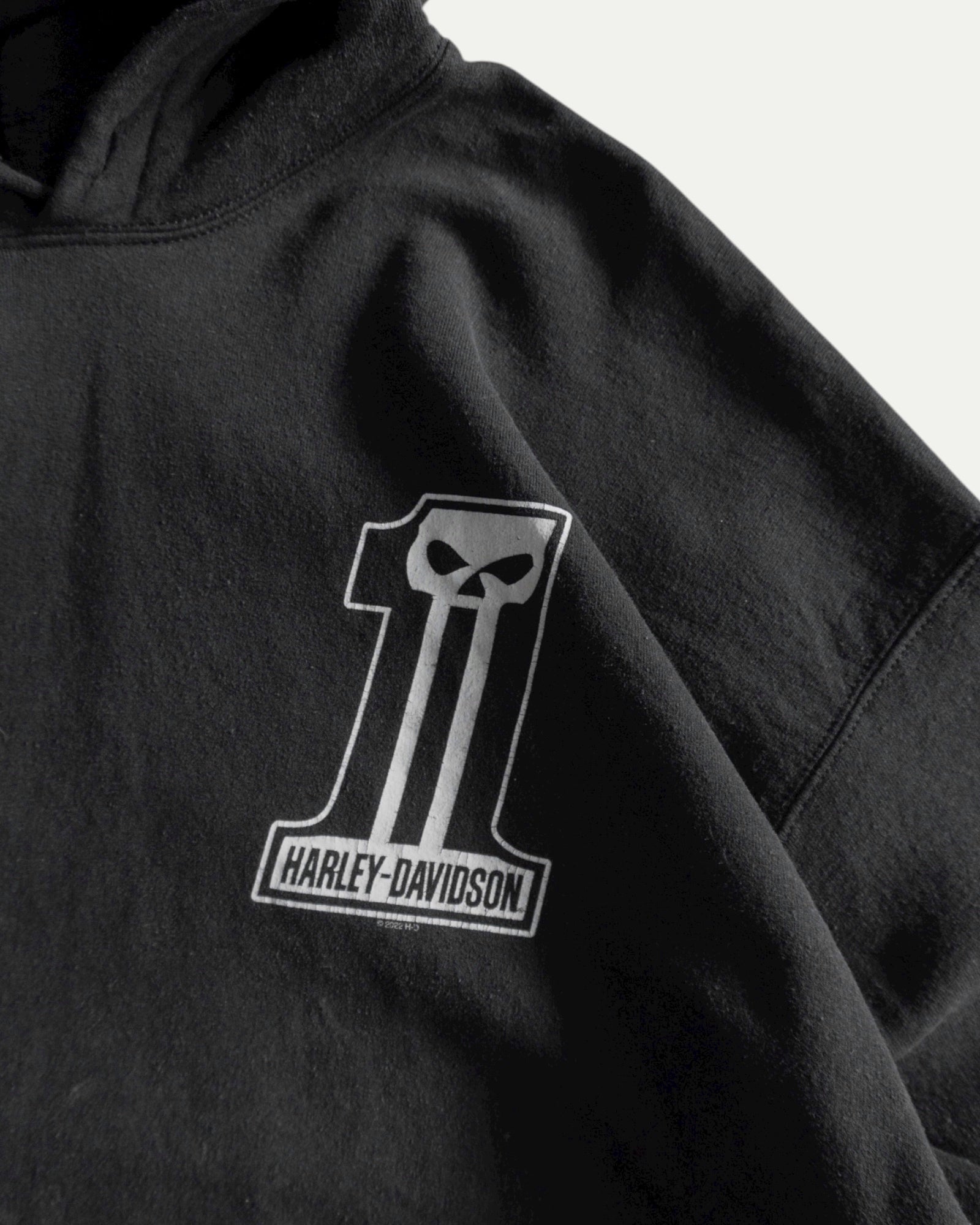 (L) HARLEY DAVIDSON 1 HOODIE