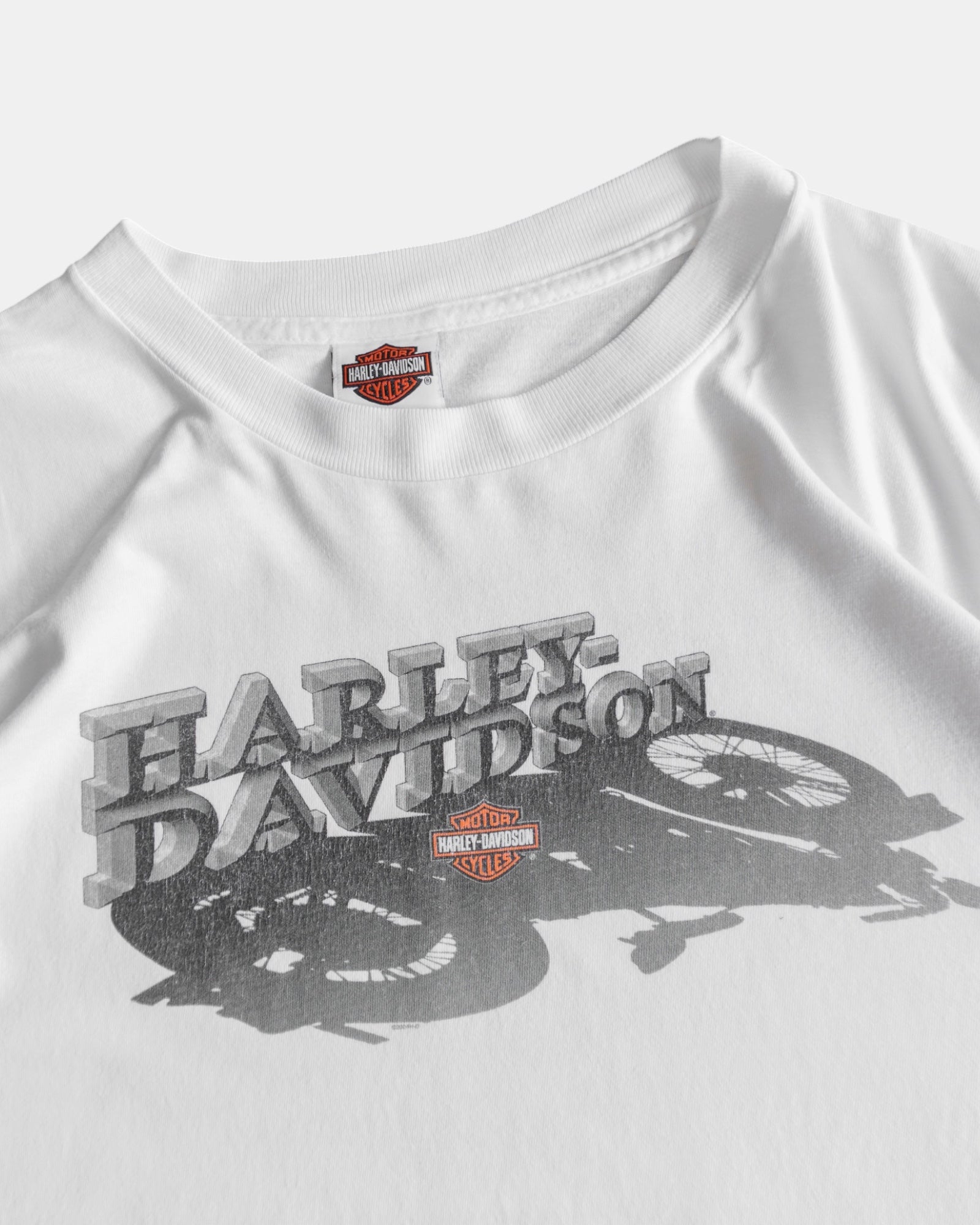 (FIT L) HARLEY DAVIDSON IRON VALLEY TEE