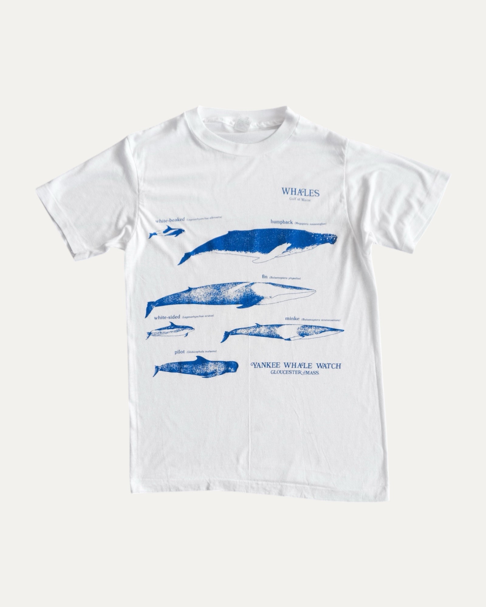 (M) 1980’S VINTAGE WHALES OF THE WORLD TEE