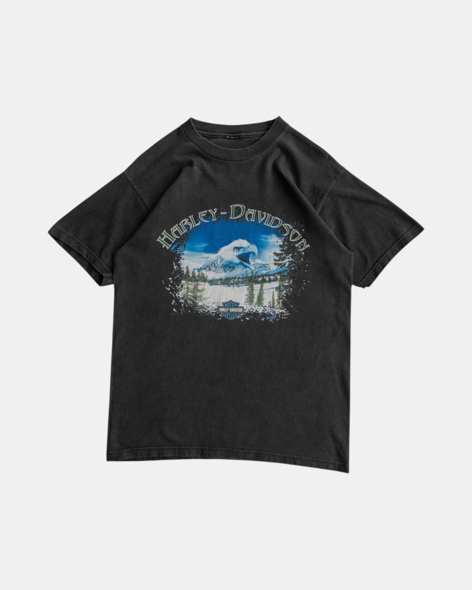 (L) VINTAGE HARLEY DAVIDSON GROVE’S TEE