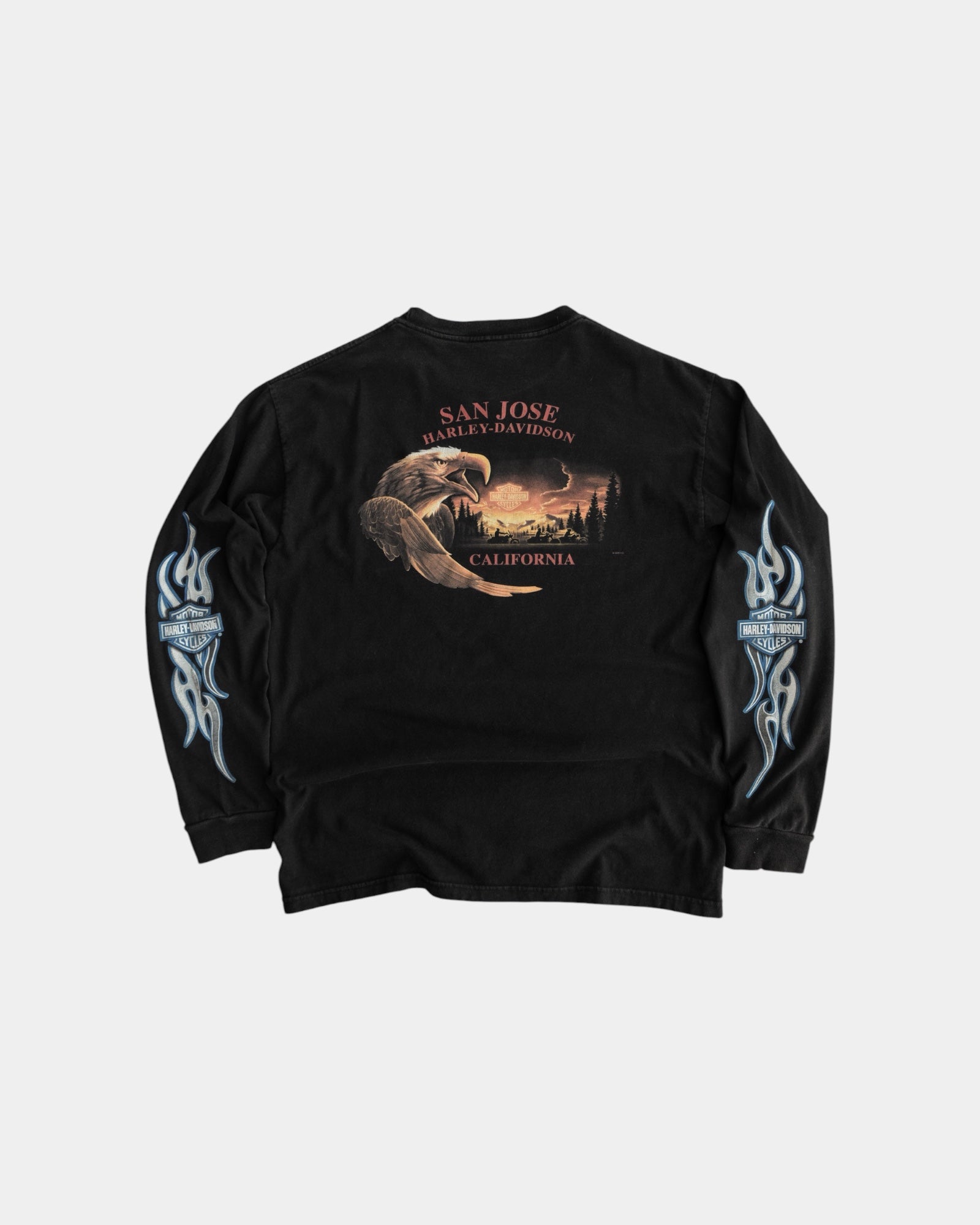 (L) 2007 HARLEY DAVIDSON BLUE FLAMES LONG SLEEVE