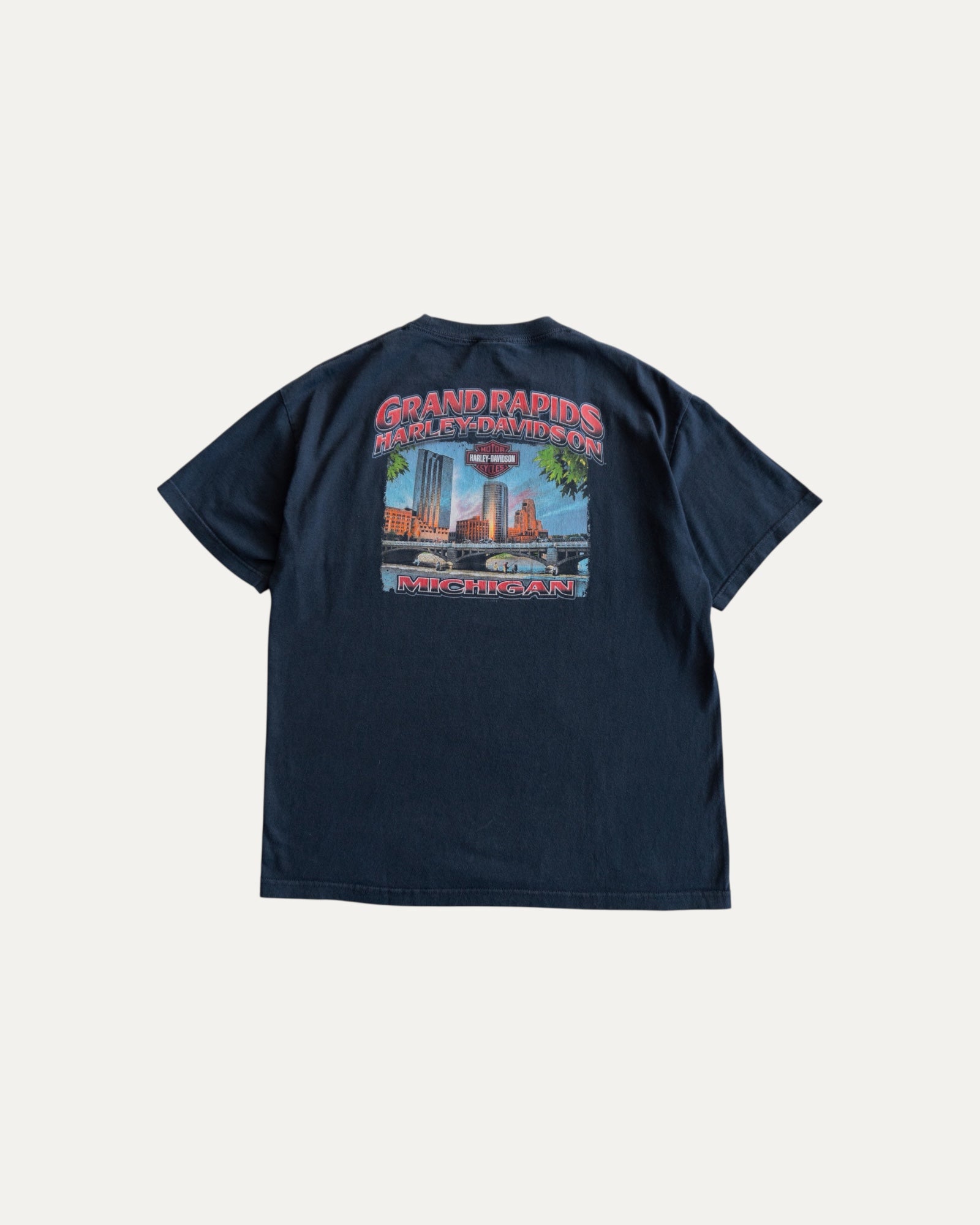 (L) HARLEY DAVIDSON GRAND RAPIDS MICHIGAN SKULL FLAMES TEE