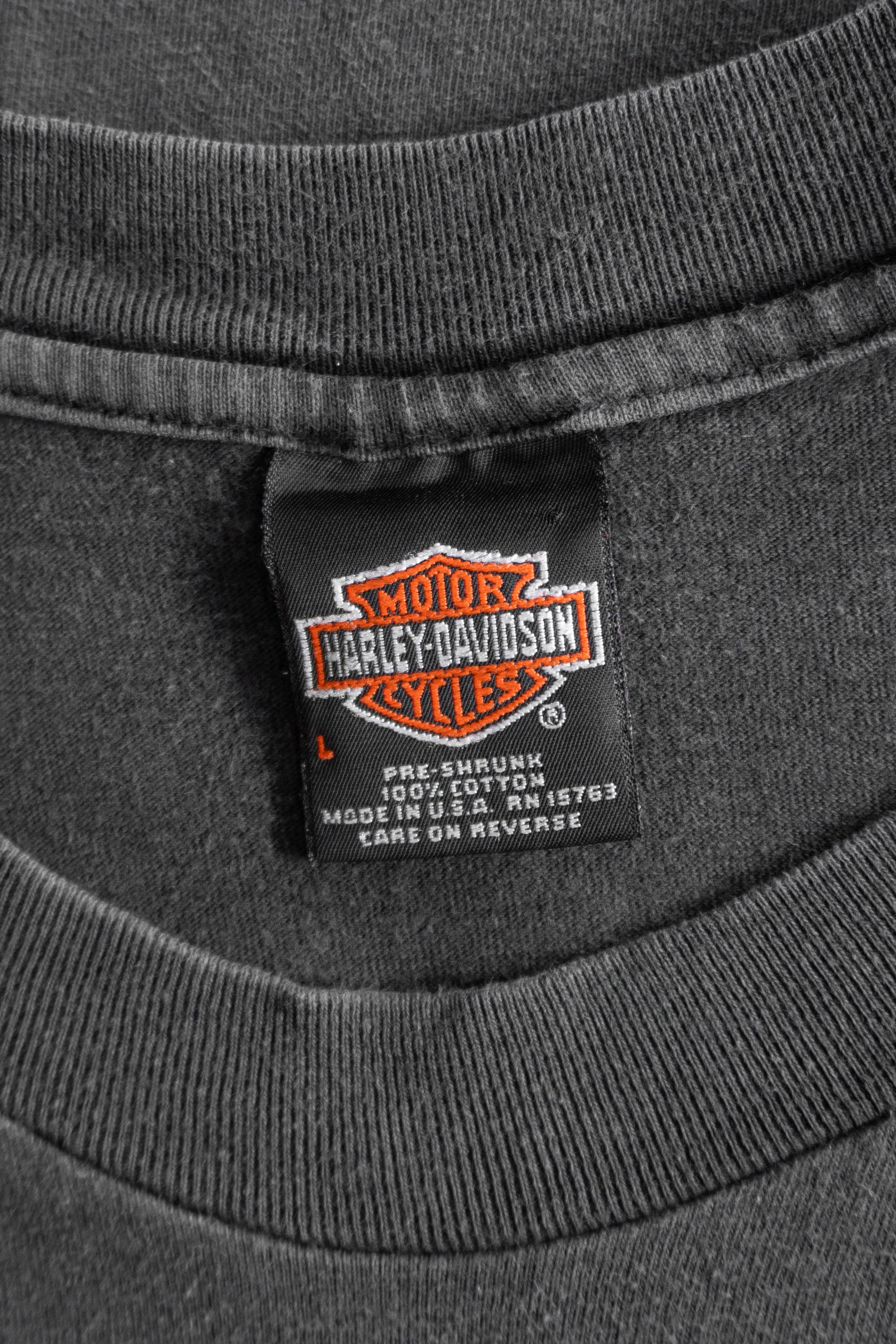 (L) VINTAGE HARLEY DAVIDSON STATE RALLY FADED TEE