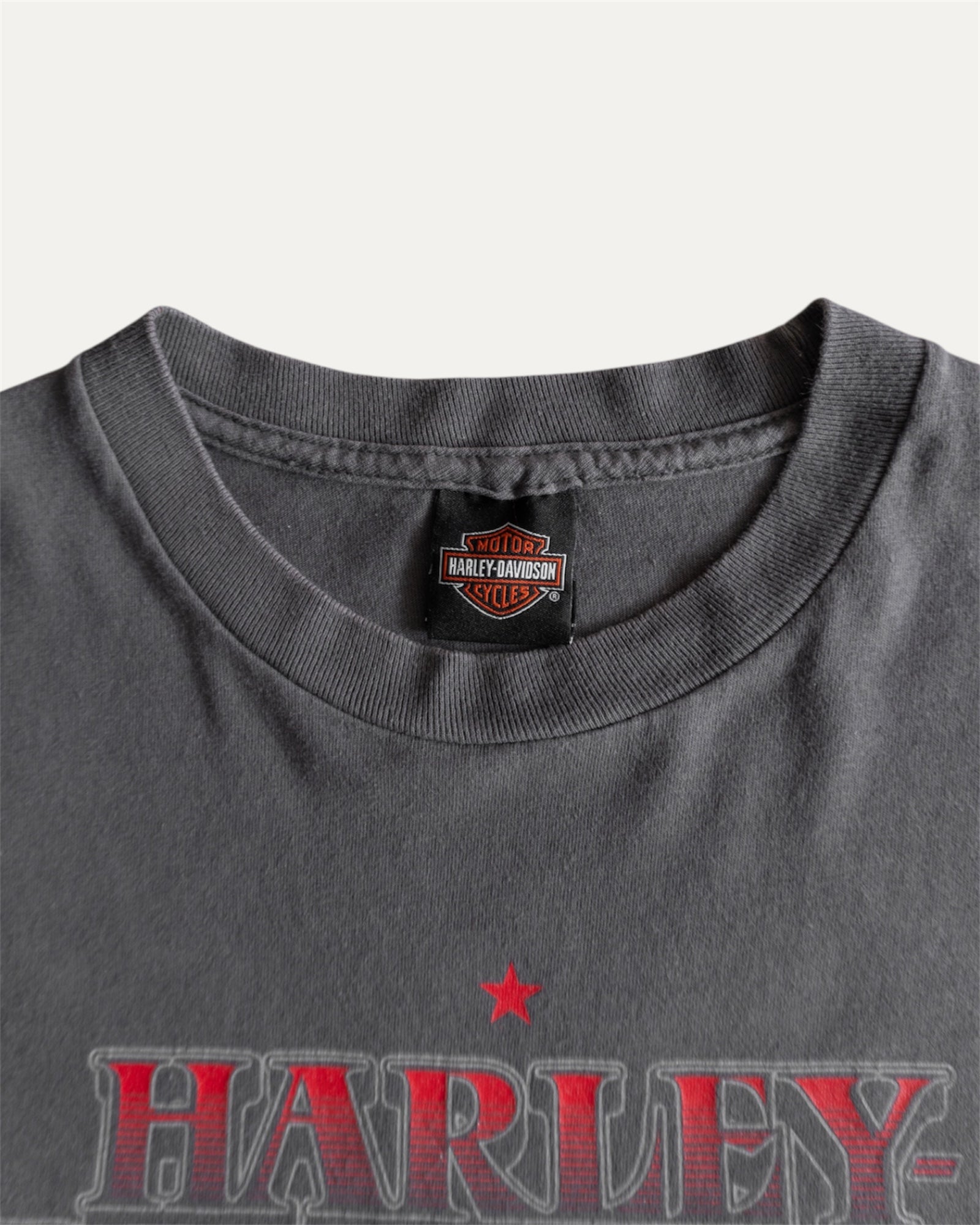 (M) VINTAGE HARLEY DAVIDSON TEE