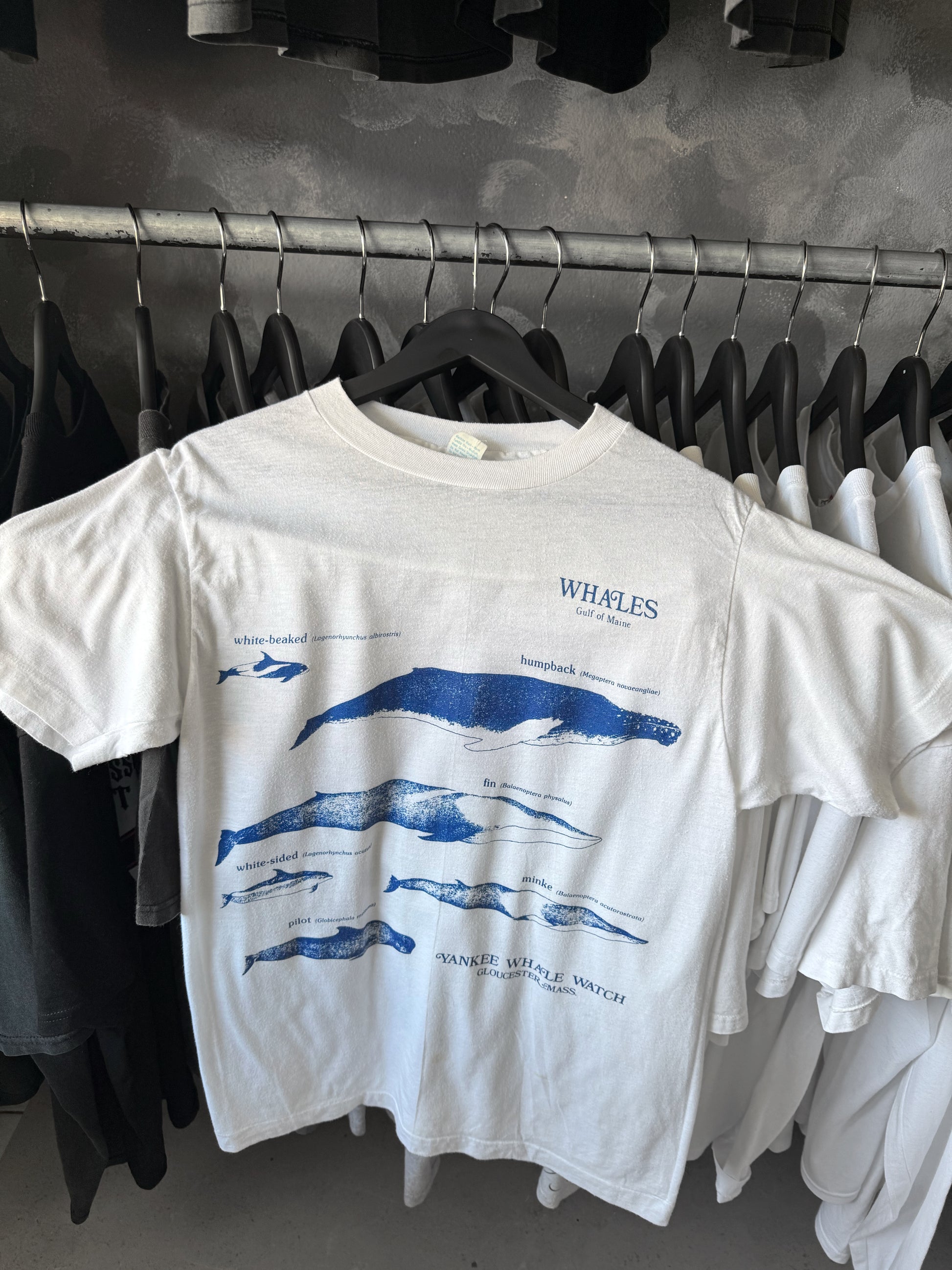 (M) 1980’S VINTAGE WHALES OF THE WORLD TEE