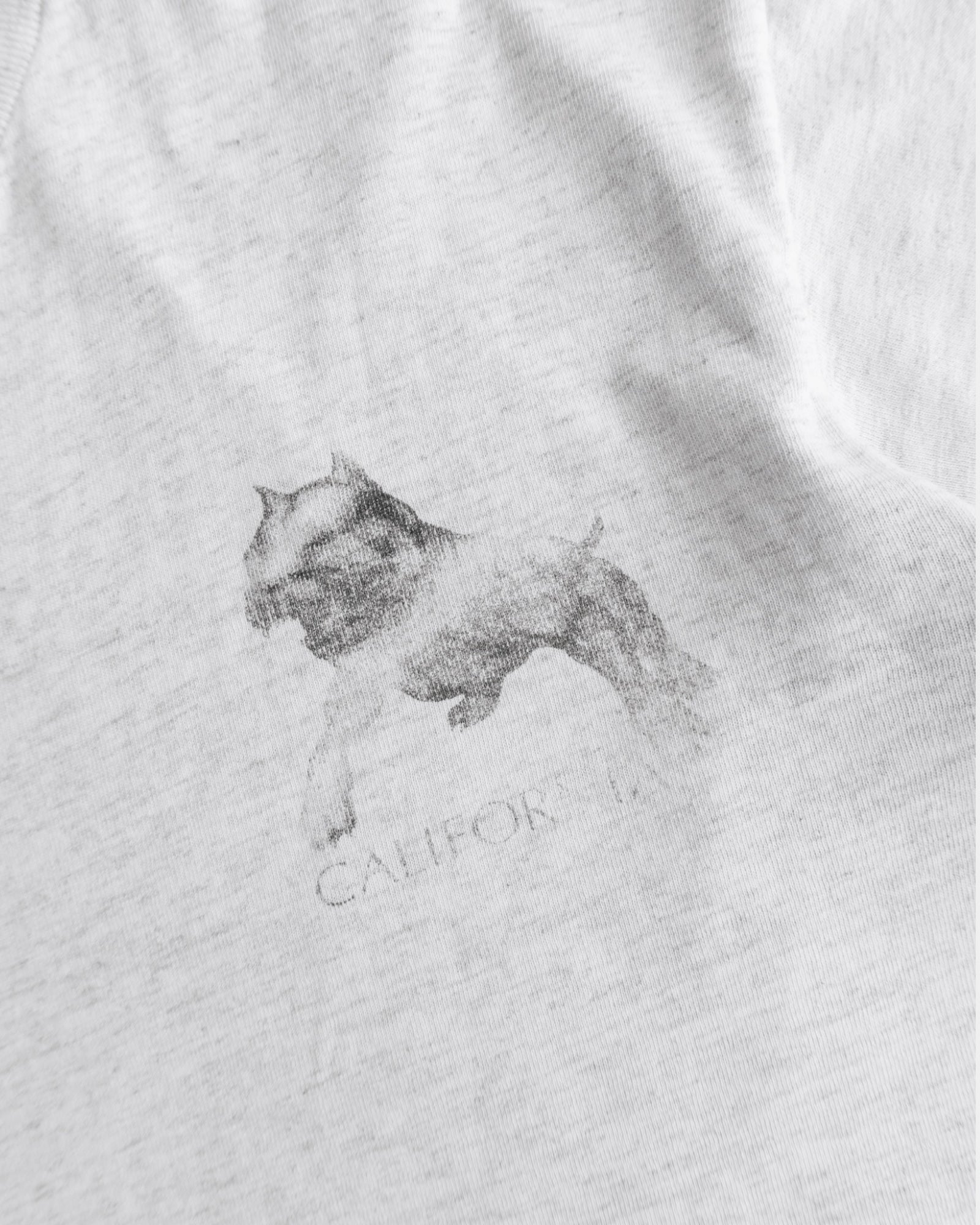 (BOXY M/L) VINTAGE RUDE DOG FADED TEE
