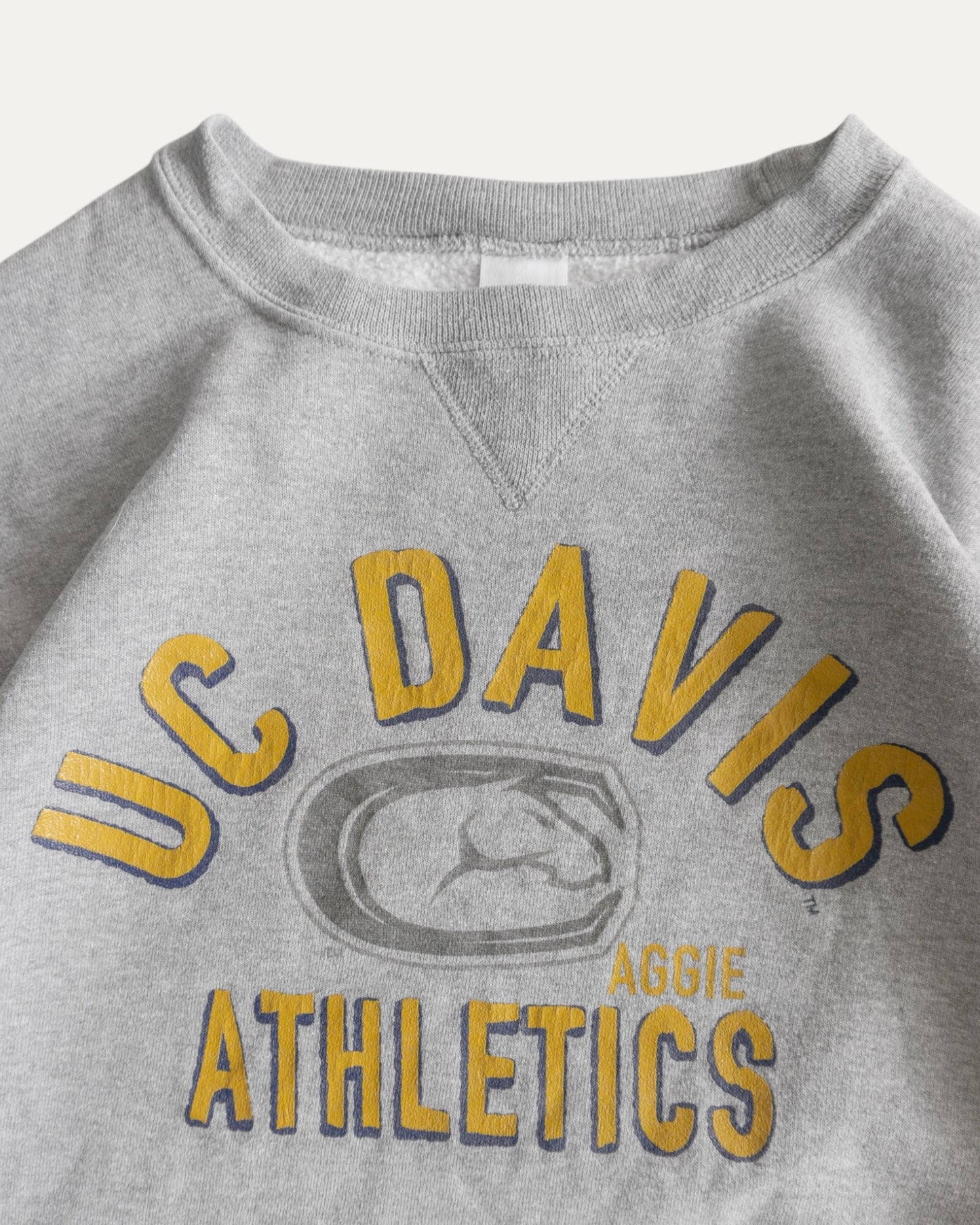 (BOXY L) 90’S VINTAGE RUSSELL DAVIS CREWNECK