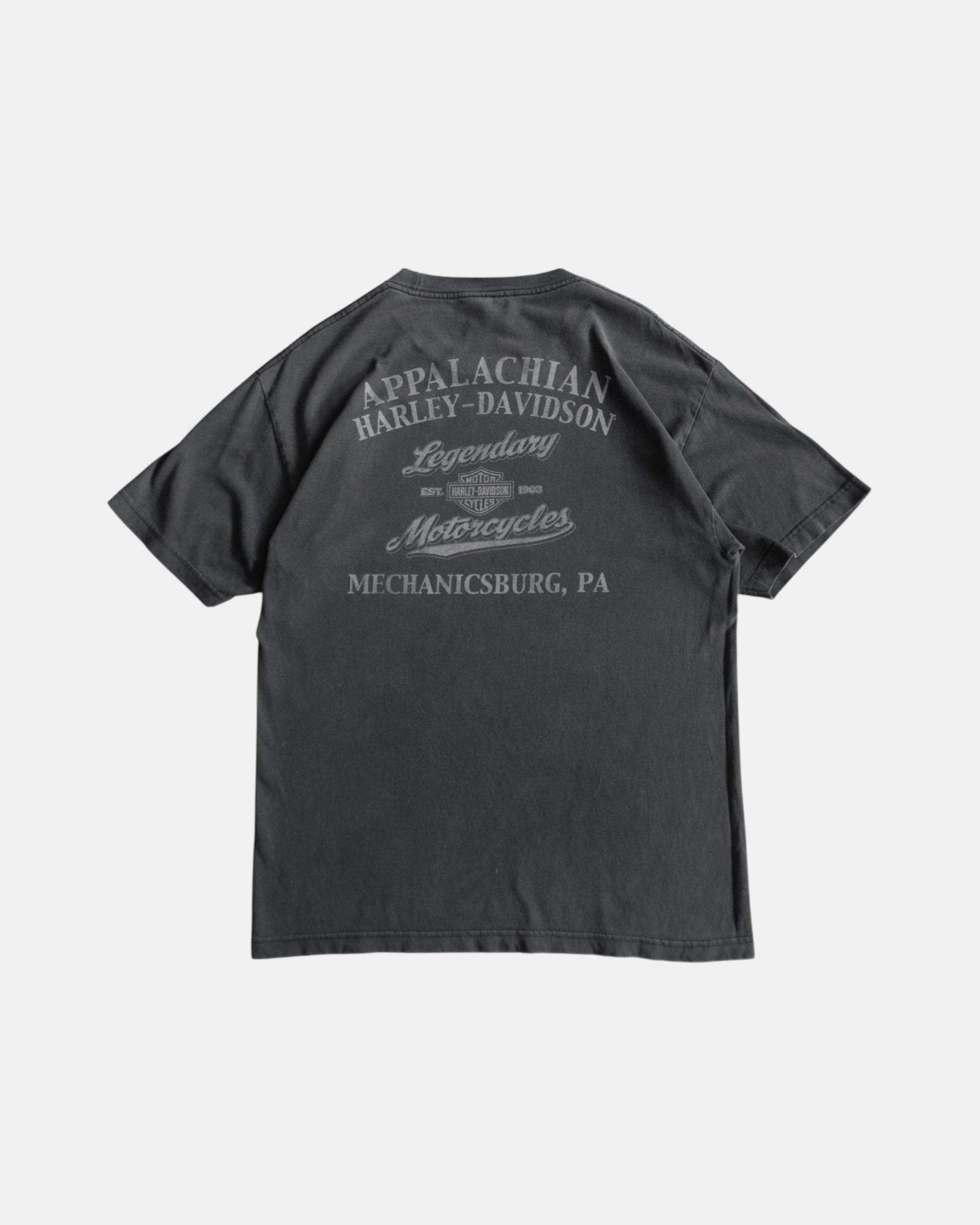 (L) VINTAGE HARLEY DAVIDSON EAGLE SNAKE TEE