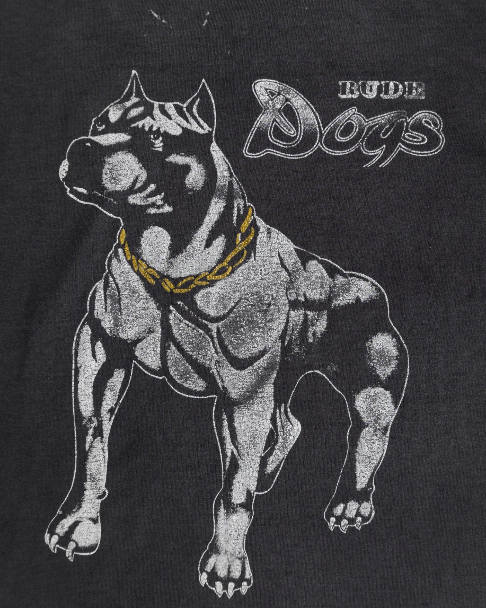 (L) VINTAGE RUDE DOGS FADED TEE