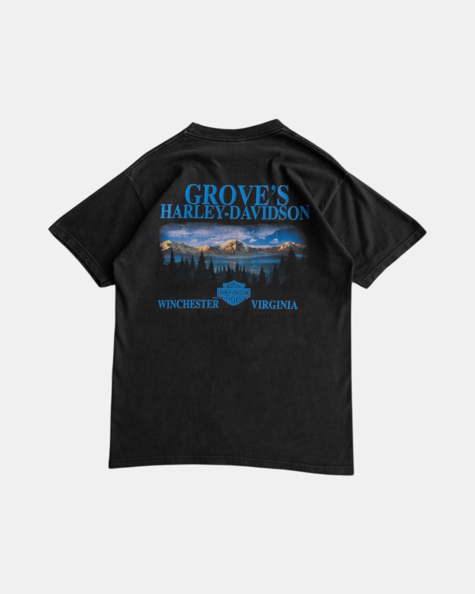 (L) VINTAGE HARLEY DAVIDSON GROVE’S TEE
