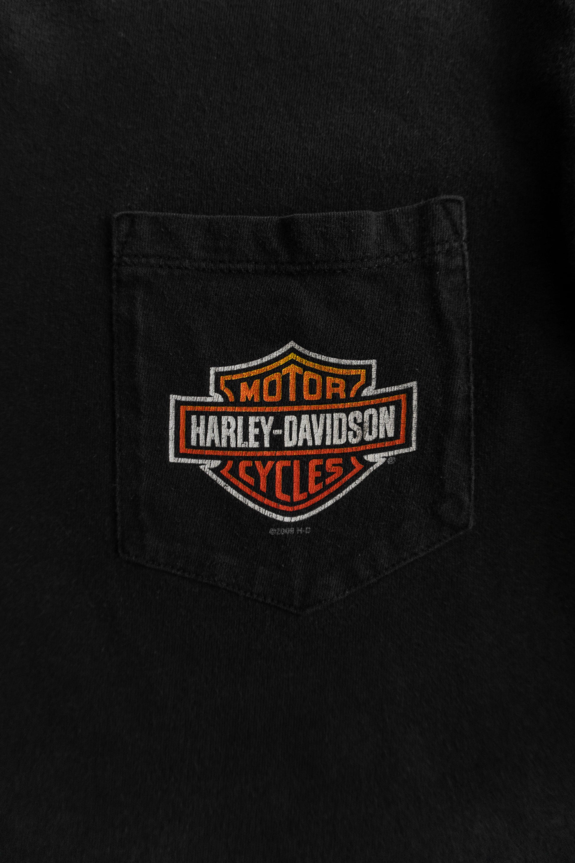 (L) HARLEY DAVIDSON FLAMES LONG SLEEVE