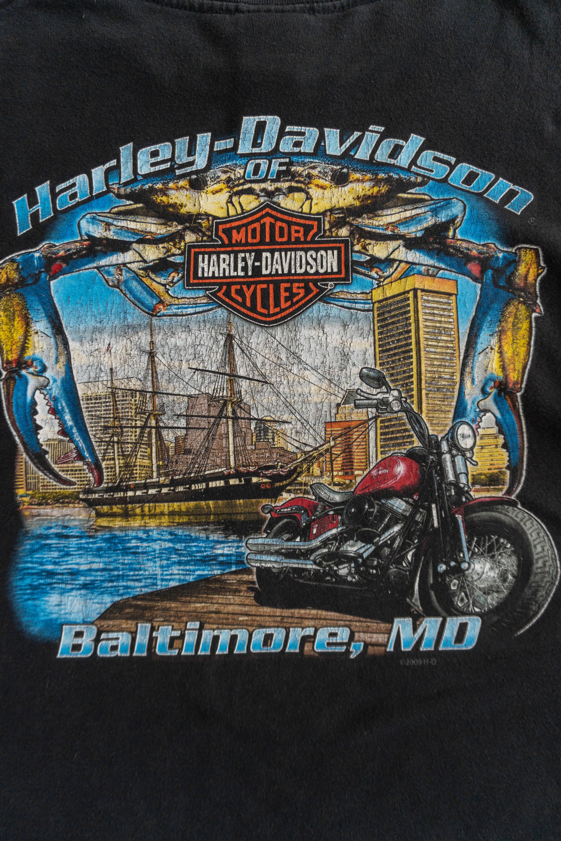 (L) HARLEY DAVIDSON FLAMES LONG SLEEVE